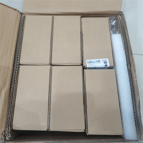 電源供應(yīng)器 2904600 (5)