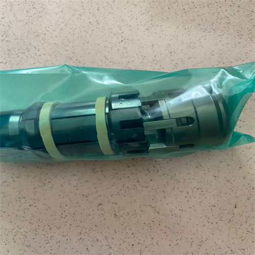 QQ圖片20240131101955