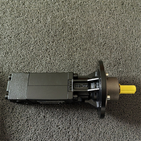 德國(guó)KNOLL螺桿泵KTS 25-50-T-G-KB (2)