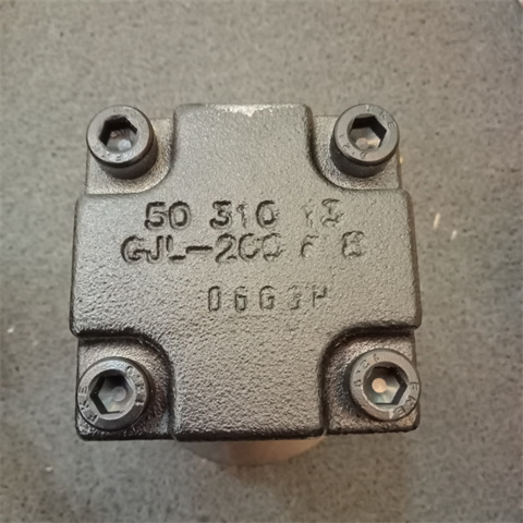 螺桿泵單泵KTS 25-50-T-G-KB (5)