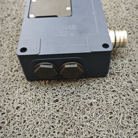 開關(guān) 101207936 AZM 415-02-02ZPKA-ST 24VAC-DC (4)