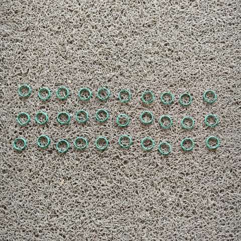 密封圈WAL610875 (3)