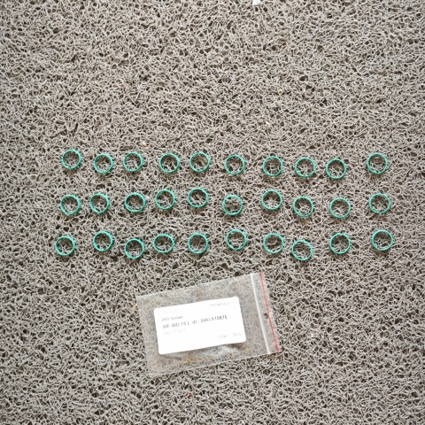 密封圈WAL610875 (5)