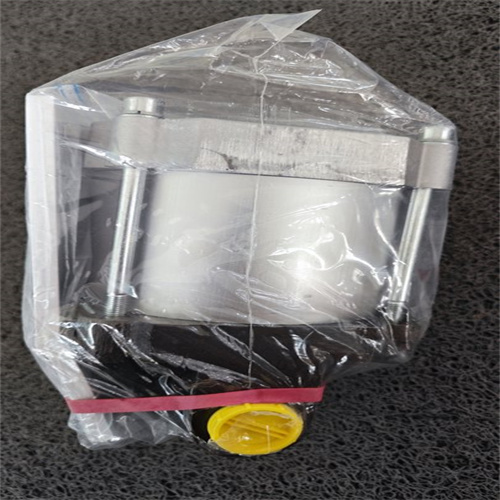 德國MAXIMATOR泵S35(3130