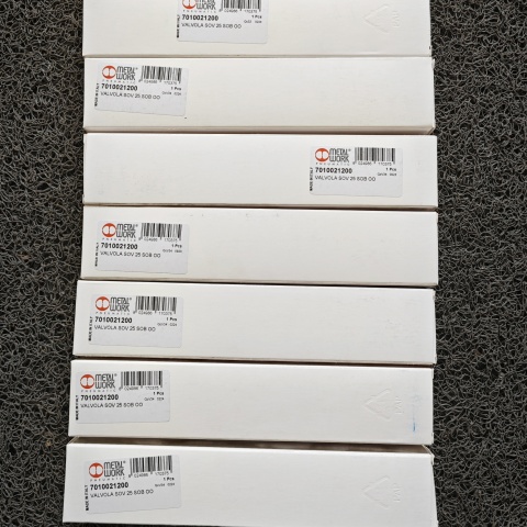 電磁閥 7010021200 (1)