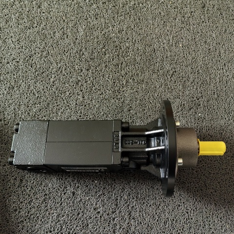 螺桿泵 KTS 25-50-T-G-KB (1)