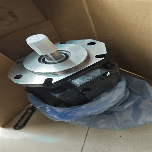 液壓泵T7DDS-E31-E31-1R01-A1M0 (1)