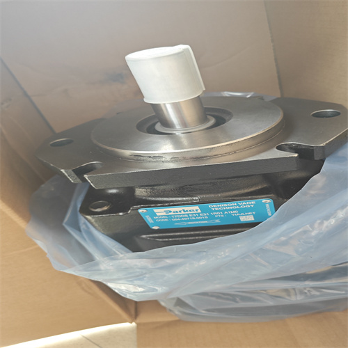 液壓泵T7DDS-E31-E31-1R01-A1M0 (4)