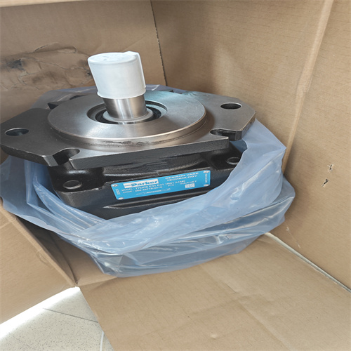 液壓泵T7DDS-E31-E31-1R01-A1M0 (5)