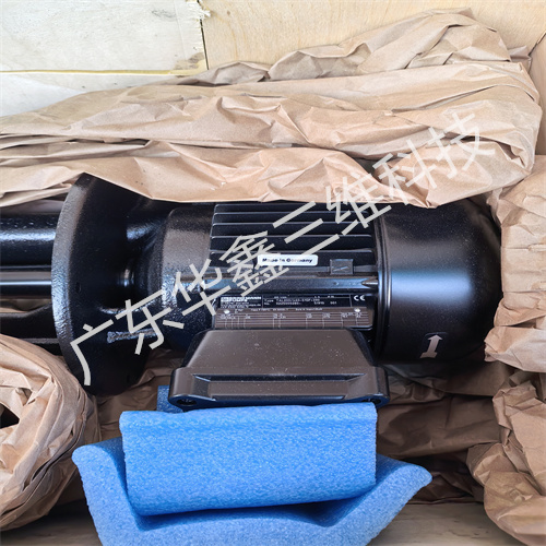 BRINKMANN布曼泵TAL200460-51GF+390 (5)