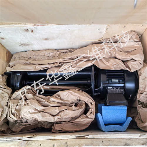 BRINKMANN布曼泵TAL200460-51GF+390 (4)