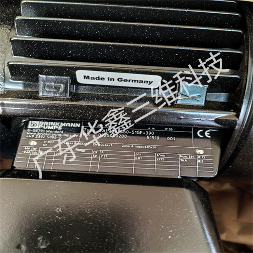 BRINKMANN布曼泵TAL200460-51GF+390 (2)