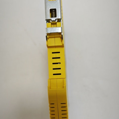 監(jiān)視器 IMX12-FI01-1SF-1R-024VDC (5)